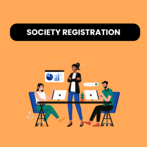 NGO Registration Service
