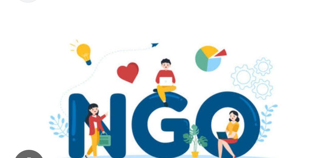 What is an NGO